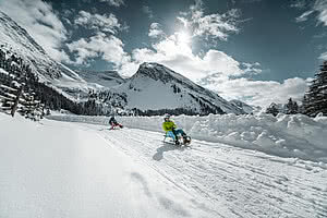 Tobogganing in Zillertal