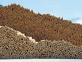 Piled tree trunks in the wood adventure world in Fügen