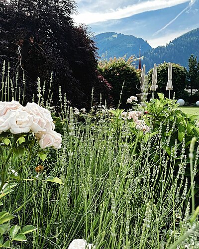 In unserem Garten dürft ihr euch so richtig entspannen und könnt das ultimative #urlaubsfeeling genießen.